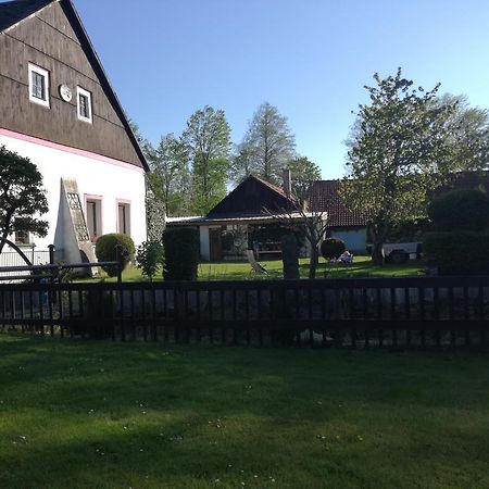 Apartman Ve Mlejne Nová Bystřice Exteriör bild