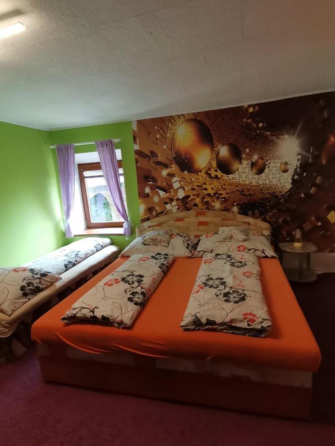 Apartman Ve Mlejne Nová Bystřice Exteriör bild