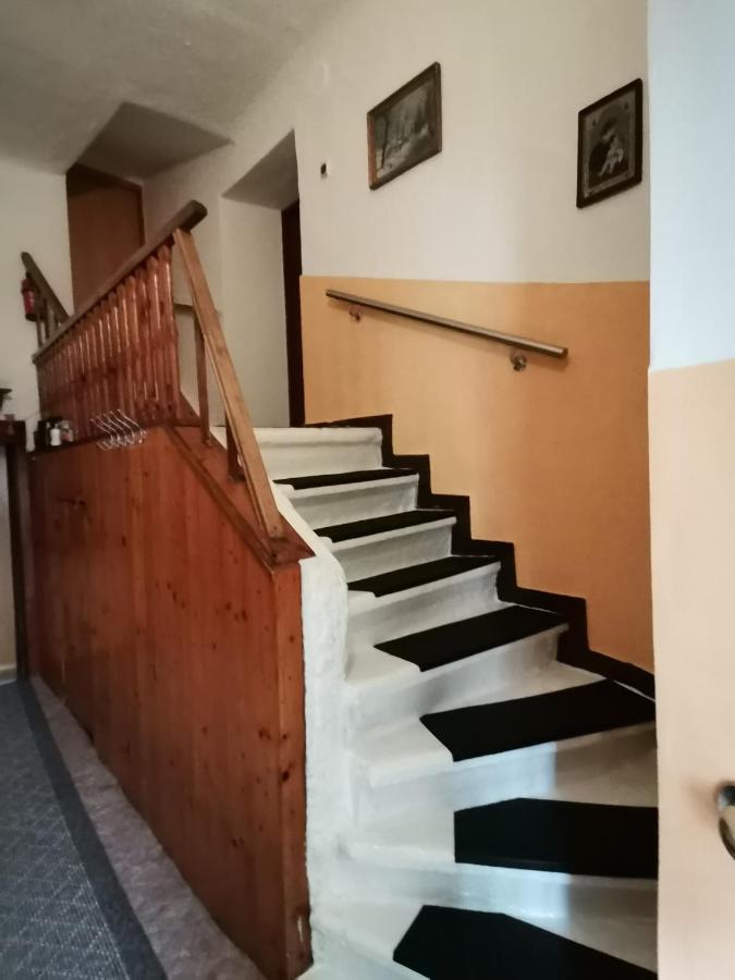 Apartman Ve Mlejne Nová Bystřice Exteriör bild