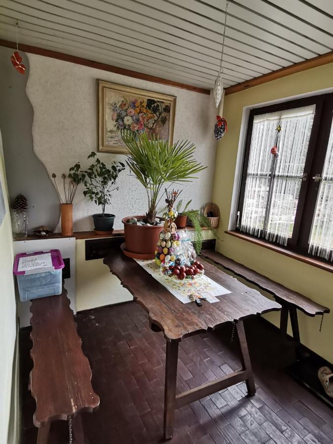 Apartman Ve Mlejne Nová Bystřice Exteriör bild
