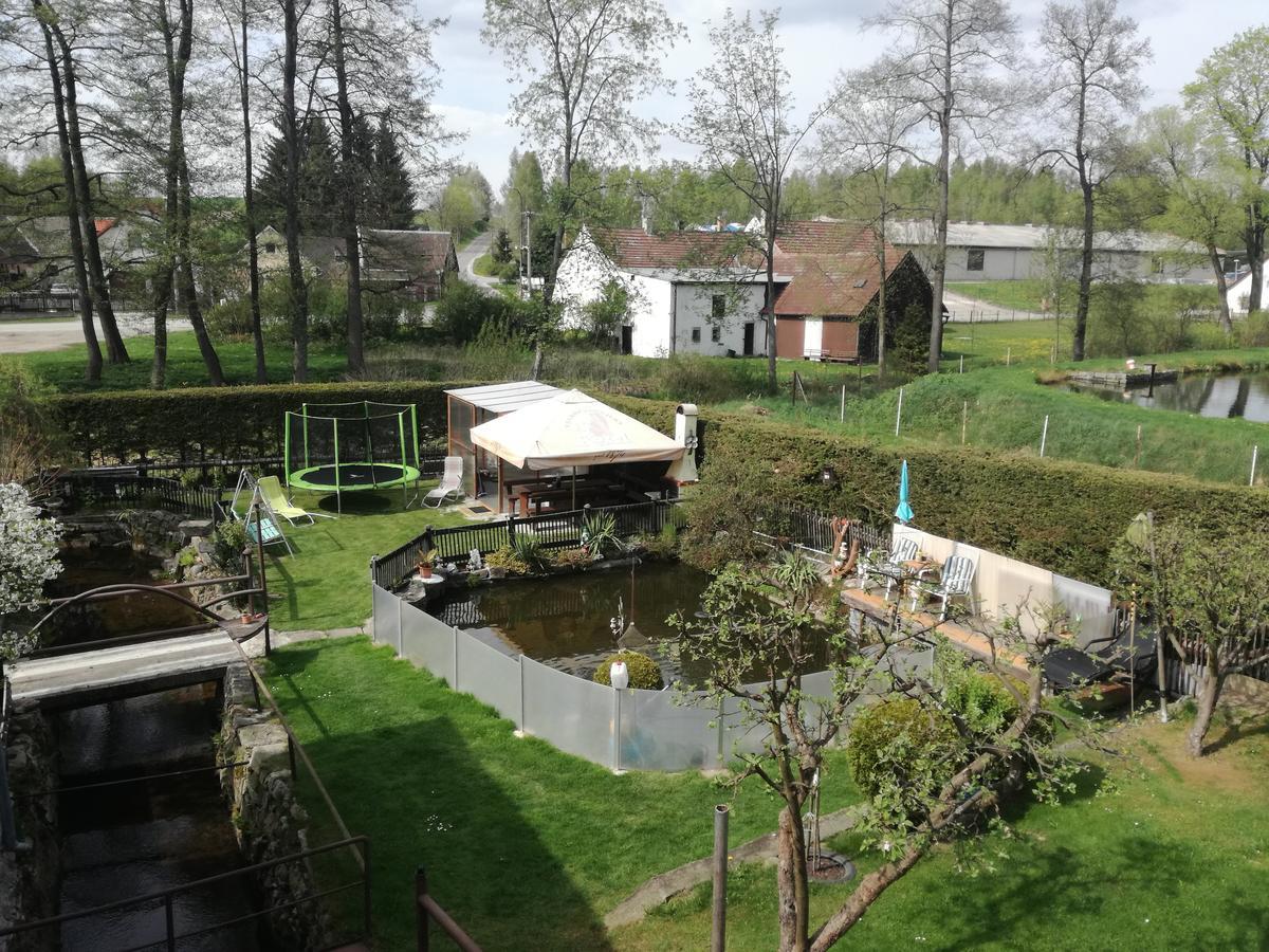 Apartman Ve Mlejne Nová Bystřice Exteriör bild