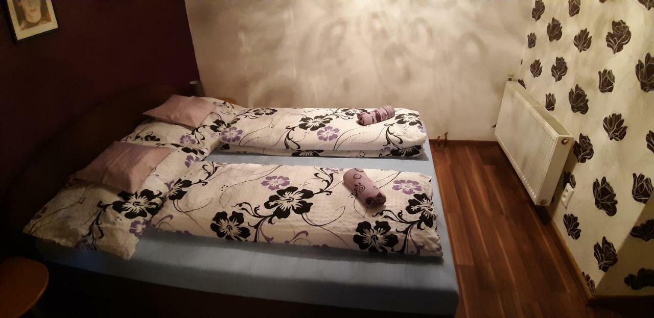 Apartman Ve Mlejne Nová Bystřice Exteriör bild